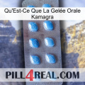 What Is Kamagra Oral Jelly viagra3